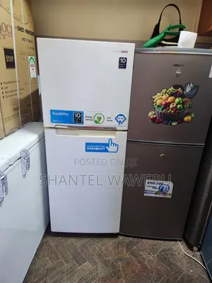 2 Door Refrigerator