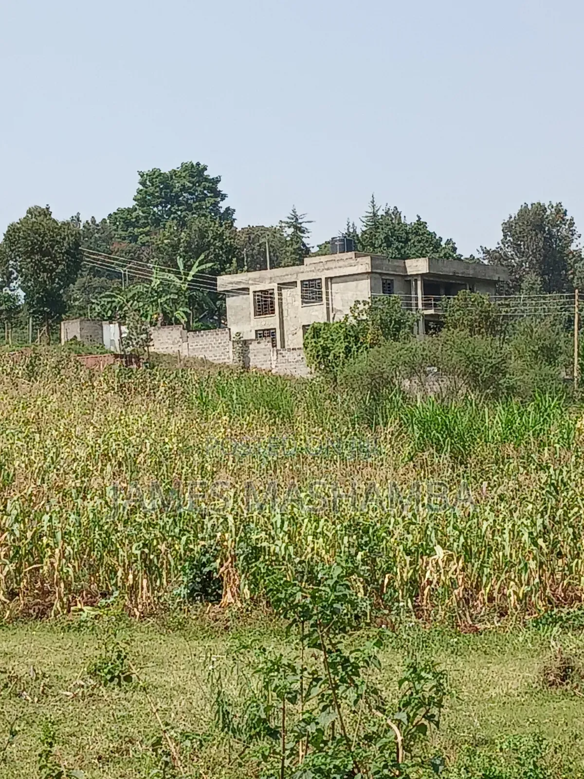 Prime Plot 50 by 100ft Touching the Southern Bypass