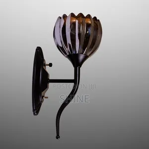 Globe Glass Wall Light