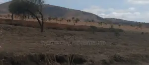 155 Acres in Kajiado Maili Tisa Is Available for Sale