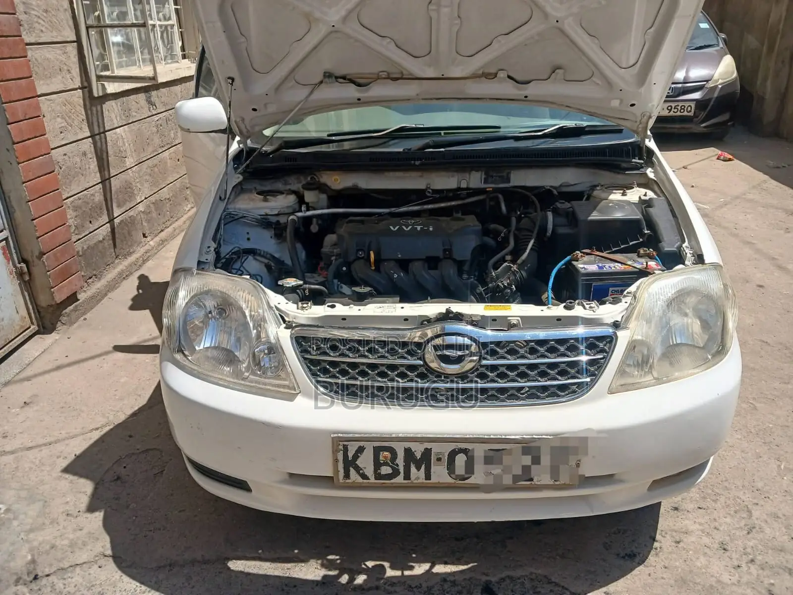 Toyota Corolla 2003 White