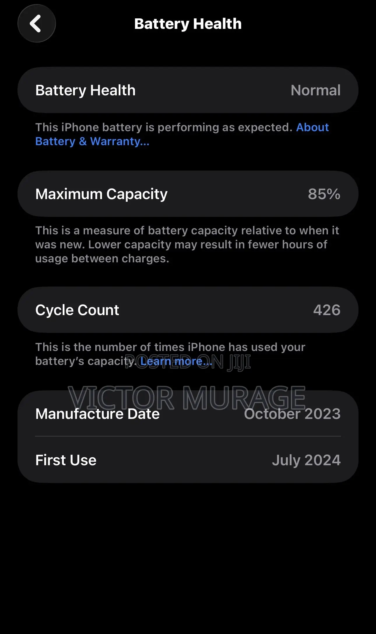 Apple iPhone 15 Pro Max 256 GB Blue
