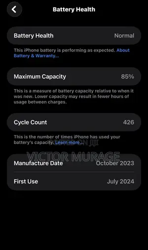 Apple iPhone 15 Pro Max 256 GB Blue