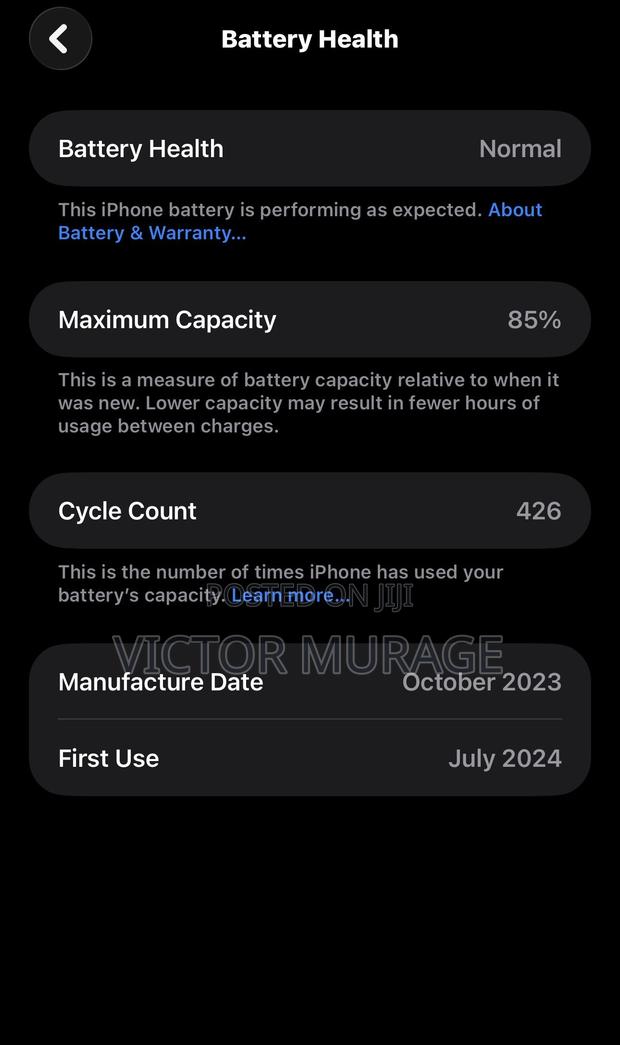 Apple iPhone 15 Pro Max 256 GB Blue - thumbnail 2