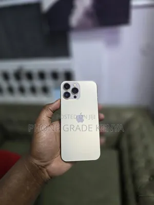 Apple iPhone 13 Pro Max 256 GB Gold