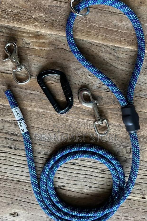 Heavy Duty 60M Dog Leash for Training Walking
