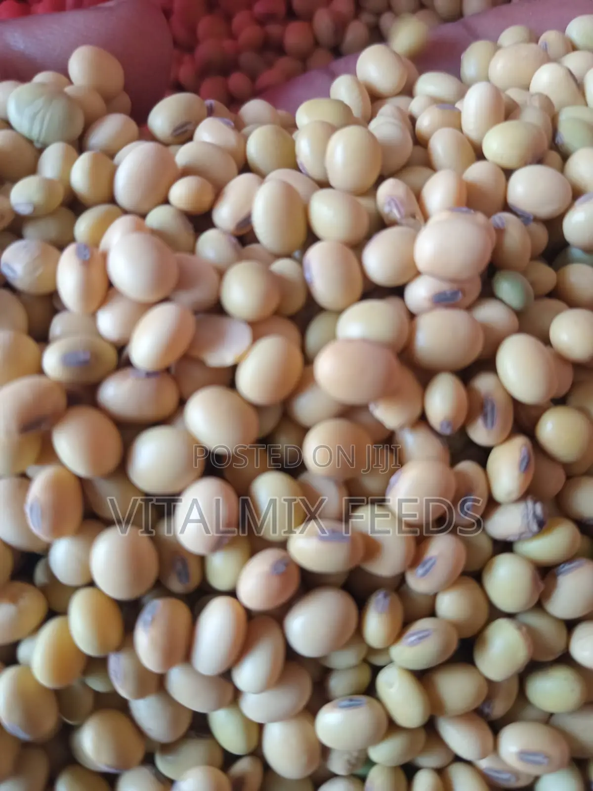 Soya Beans