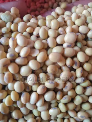 Soya Beans