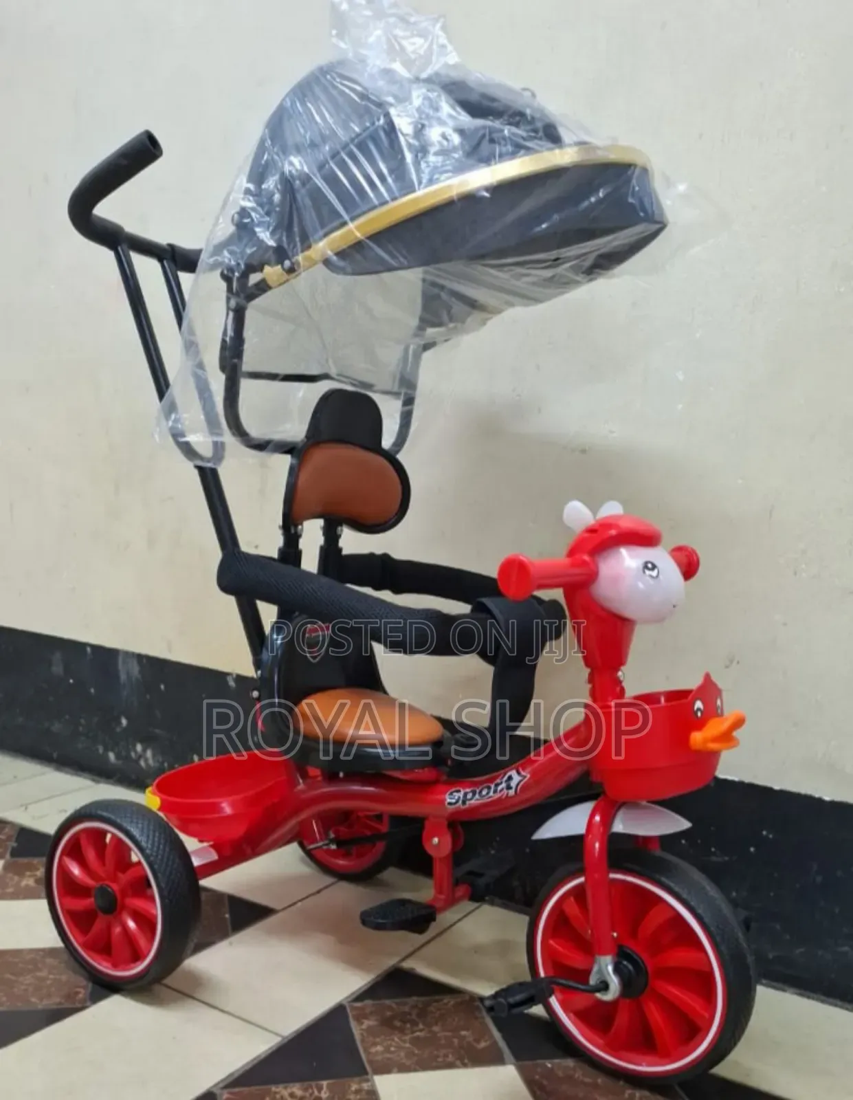 Tricycle With Canopy and Music