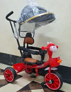 Tricycle With Canopy and Music