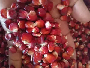 Heirloom Maize (Red Maize)