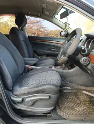 Nissan Sylphy 2010 Black