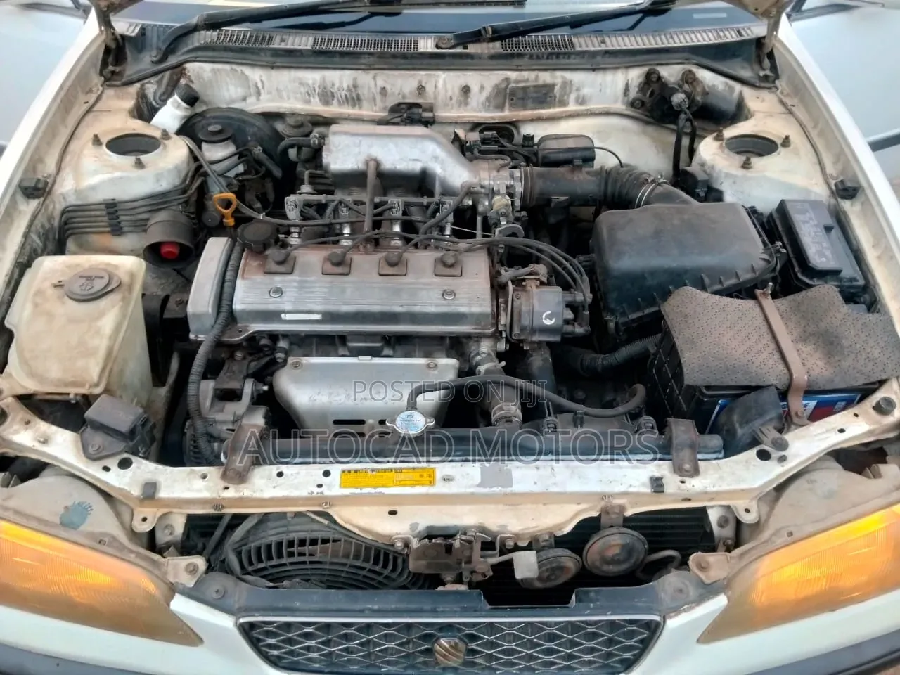 Toyota Corolla 1997 White
