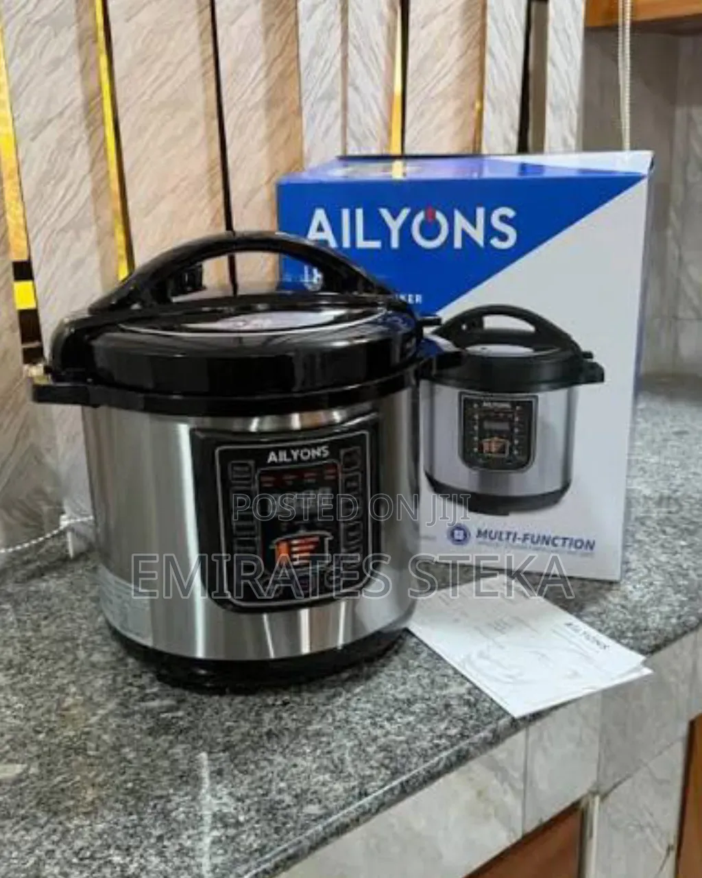 AILYONS 6L, 1000W Electric Pressure Cooker - Silver