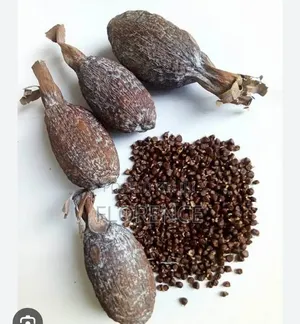 Alligator Pepper