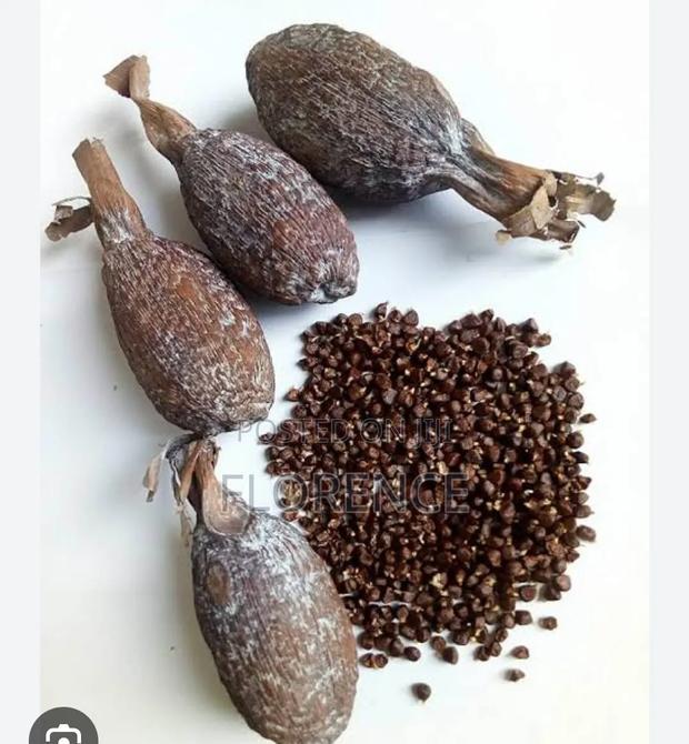 Alligator Pepper - main view