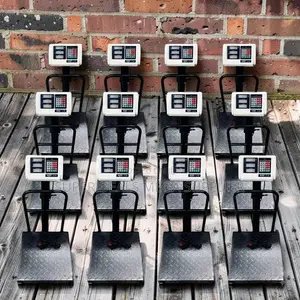 Wholesale Deals 100Kgs,150Kgs,300Kgs Digital Platform Weighing Scales