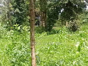 1/4 an Acre