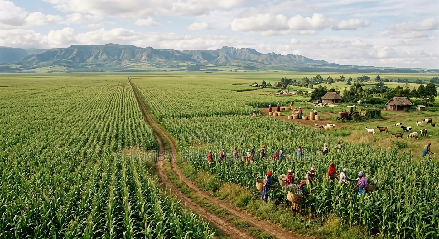 Land in Narok - Nkorkorri