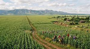 Land in Narok - Nkorkorri