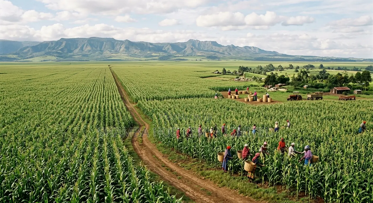 Land in Narok - Nkorkorri