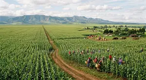 Land in Narok - Nkorkorri