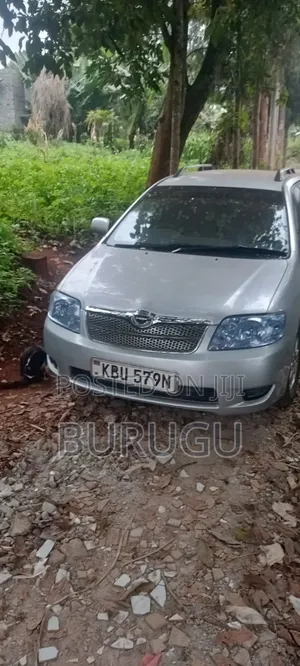 Toyota Corolla Fielder 2007 Silver
