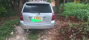 Toyota Corolla Fielder 2007 Silver