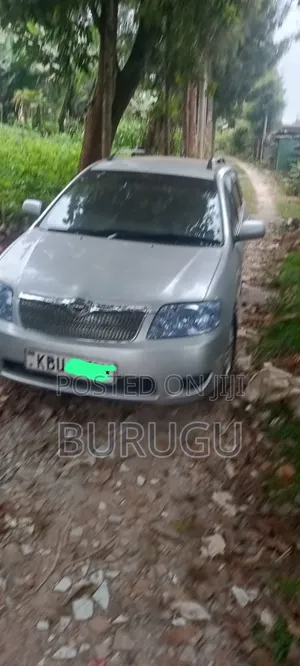 Toyota Corolla Fielder 2007 Silver