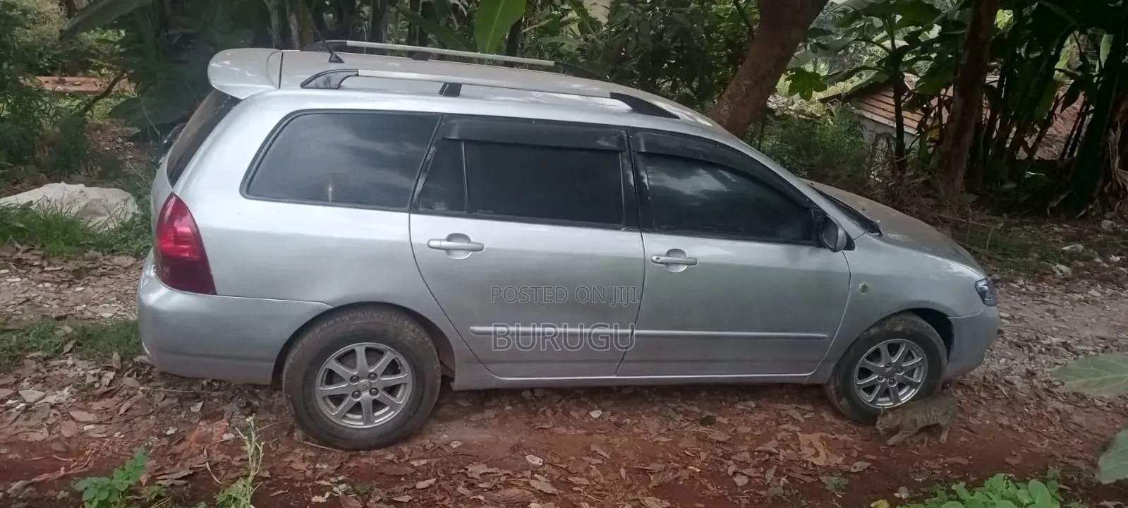 Toyota Corolla Fielder 2007 Silver
