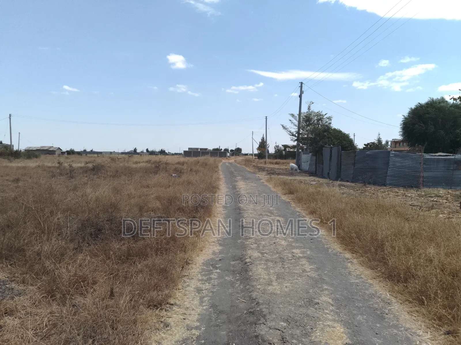 O.259Ha Plot Selling at Kantafu 500Mtrs