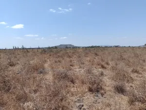 2Acres of Land Selling at Kantafu 2.5km