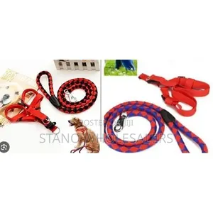 Big Dog Leash