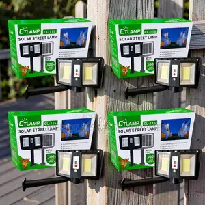 Wholesale Prices Remote Control CTLamp 300W Led Solar Street Light