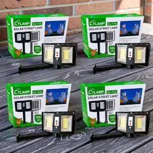 Wholesale Prices IP65 Waterproof CTLamp 300W Led Solar Street Light
