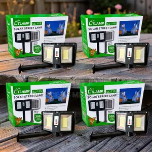 Wholesale Prices Auto Light Sensor CTLamp 300W Led Solar Street Light