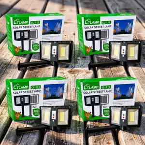 Factory Prices Outdoor Durable CTLamp 300W Led Solar Street Light