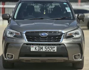 Subaru Forester 2017 Gray