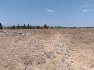 50 by 100 Plot Selling at Kantafu