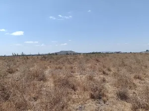 50 by 100 Plot Selling at Kantafu