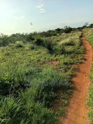 Get 15 Acres and 7.5.acres at Chakama Per Acre