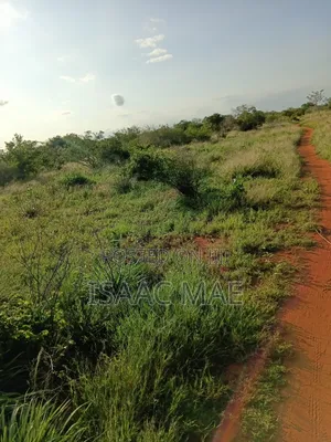 Get 15 Acres and 7.5.acres at Chakama Per Acre