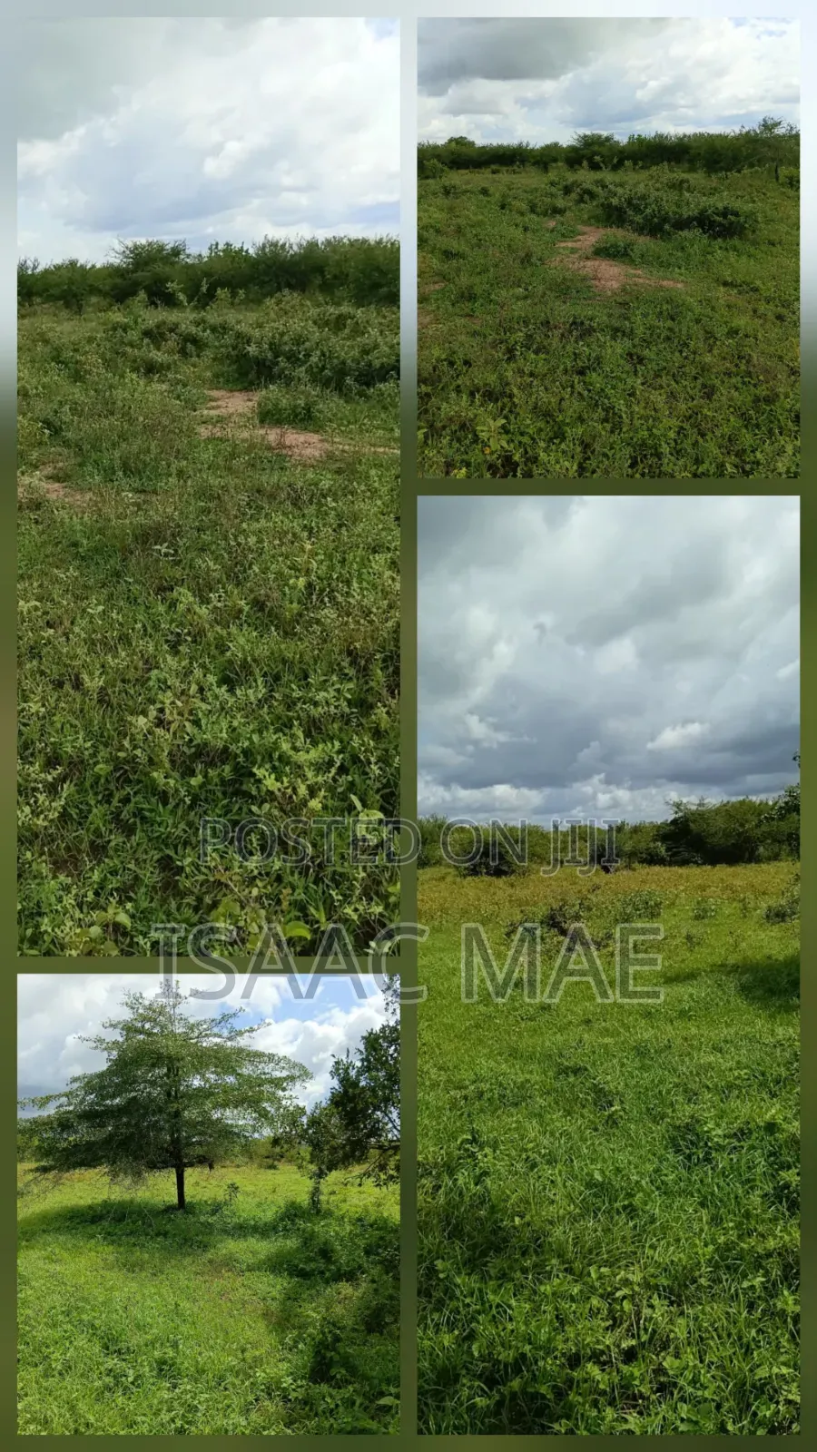 Get 15 Acres and 7.5.acres at Chakama Per Acre