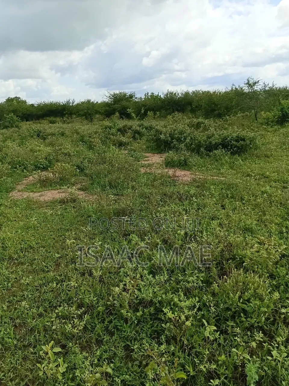 Get 15 Acres and 7.5.acres at Chakama Per Acre