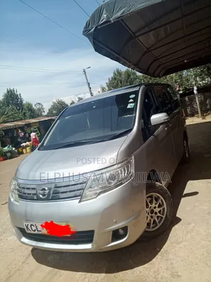 Nissan Serena 2010 Silver