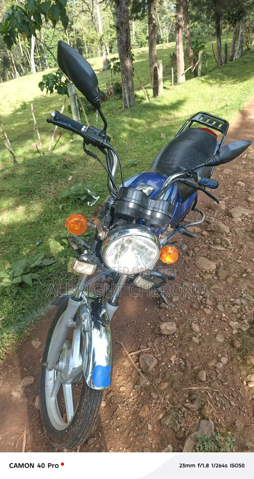 Bajaj Boxer 100 2024 Blue