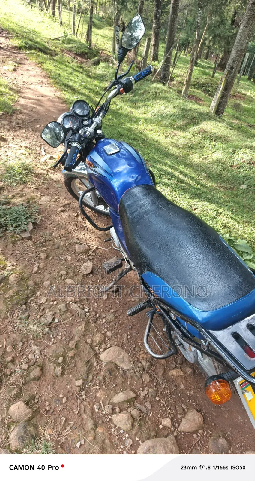 Bajaj Boxer 100 2024 Blue