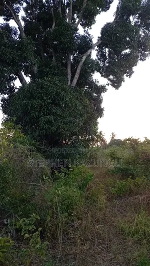 1 Acre Plot at Mwabungo Near Town at 1 Kilometre From Lungalunga Highway