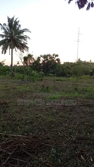 1 Acre Plot at Mwabungo Near Town at 1 Kilometre From Lungalunga Highway