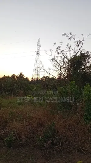 1 Acre Plot at Mwabungo Near Town at 1 Km From Lungalunga Highway